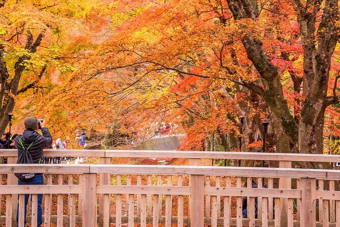 Mt. Fuji Scenic Day Tour Arakurayama Tendi Oshino and Kawaguchiko - The Itinerary in Detail