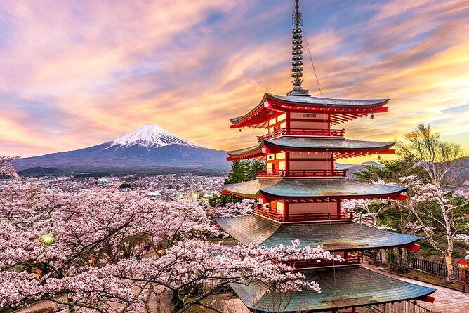 Mt. Fuji Scenic Day Tour Arakurayama Tendi Oshino and Kawaguchiko - The Value of the Experience