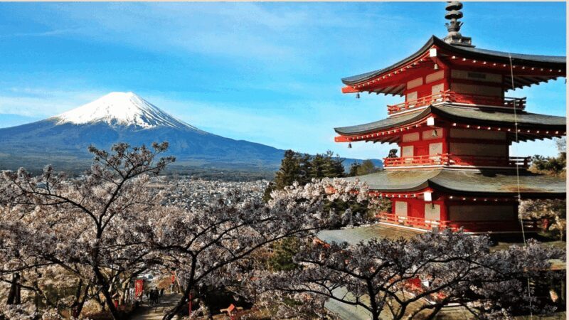 Mt Fuji Sightseeing Private tour with English Speaking Guide - Key Points