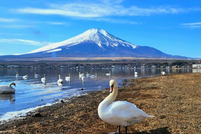 Mt. Fuji Signature 6 Scenic Spots One Day Tour from Tokyo - Final Thoughts