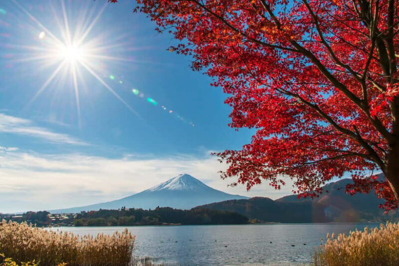 Mt. Fuji & Suntory Hakushu Distillery Whisky Museum - What Travelers Say