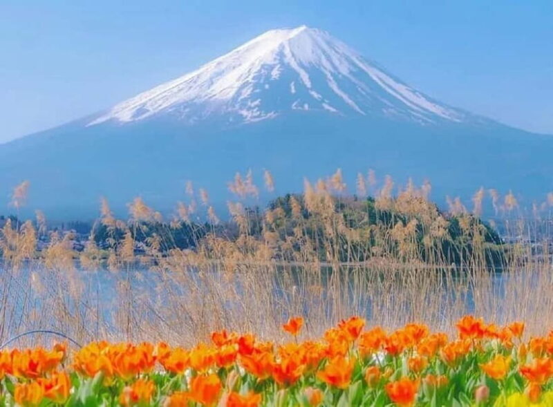 Mt Fuji Top 5 Spots Day Tour: Arakurayama Park,Oshino Hakkai - Group Size, Cost, and Value