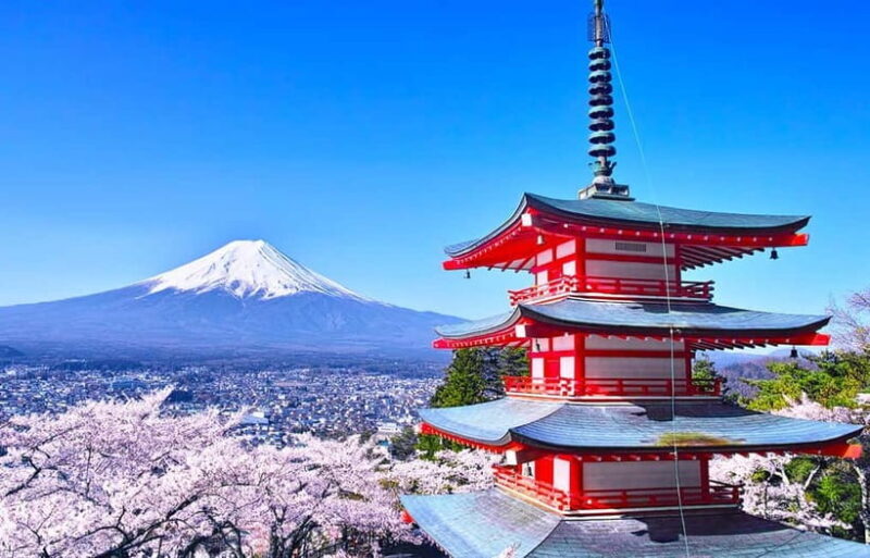 Mt Fuji Top 5 Spots Day Tour: Arakurayama Park,Oshino Hakkai - Who Will Love This Tour?