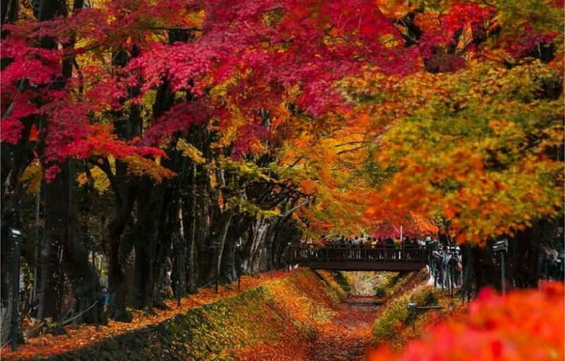 Mt Fuji Top 5 Spots Day Tour: Arakurayama Park,Oshino Hakkai - The Sum Up
