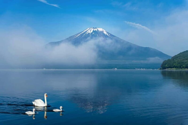 Mt Fuji Tour Customizable, fully Licenced Tour Operator - Why Choose a Private, Fully Licensed Tour?