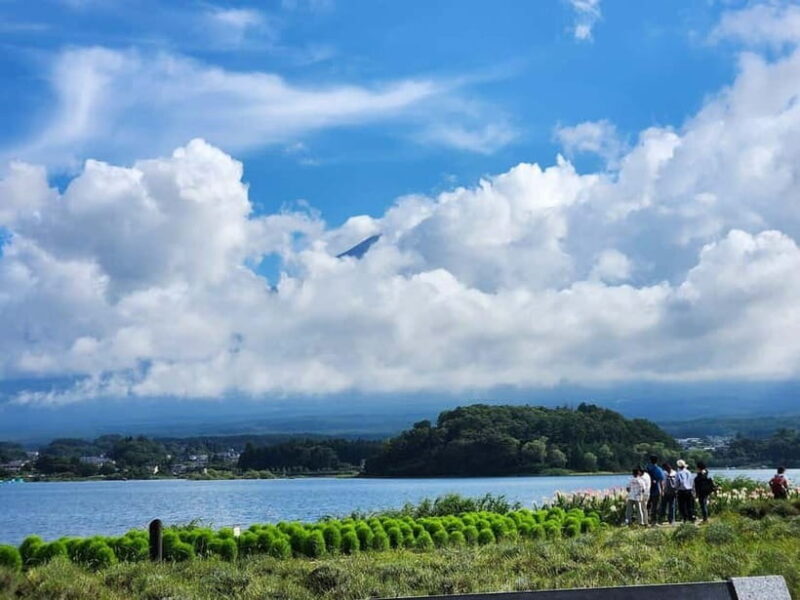 Mt Fuji Tour Customizable, fully Licenced Tour Operator - The Experience: What Travelers Say