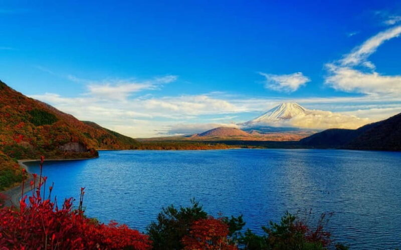 Mt Fuji Tour Customizable, fully Licenced Tour Operator - Transportation and Timing