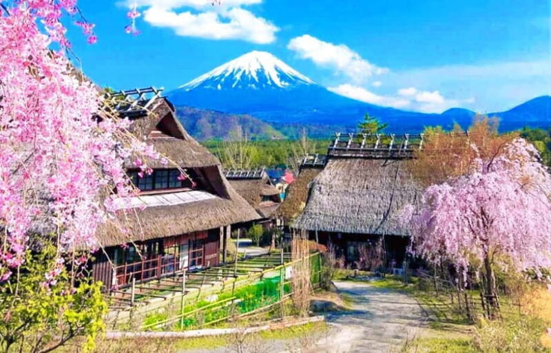 Mt Fuji Tour: Lake Kawaguchi, Shrine,Healing Village &Pagoda - Key Points