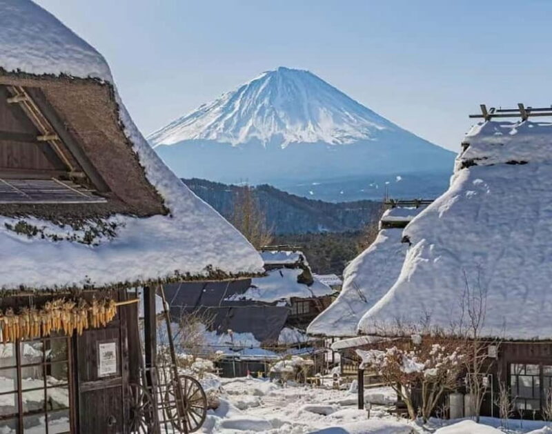 Mt Fuji Tour: Lake Kawaguchi, Shrine,Healing Village &Pagoda - An In-Depth Look at the Mt. Fuji Day Tour