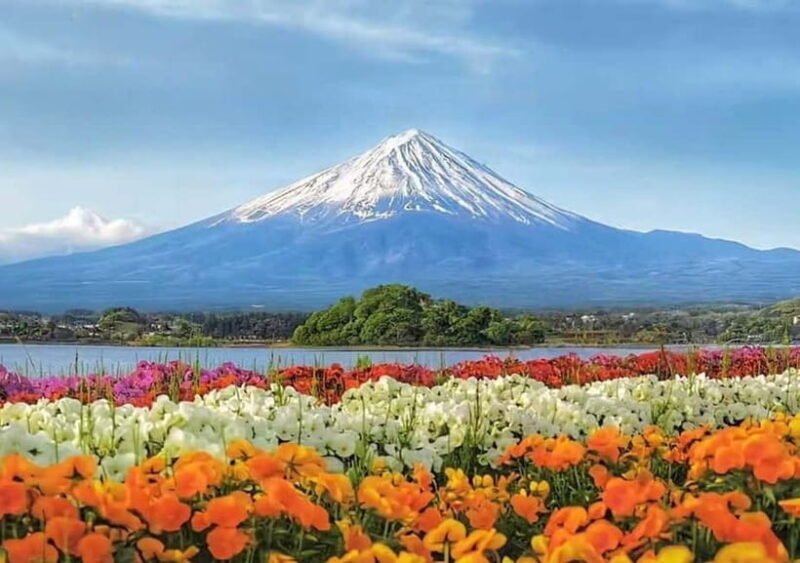 Mt Fuji Tour: Lake Kawaguchi, Shrine,Healing Village &Pagoda - Who Should Consider This Tour?