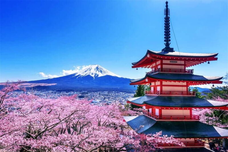 Mt Fuji Tour: Lake Kawaguchi, Shrine,Healing Village &Pagoda - Frequently Asked Questions