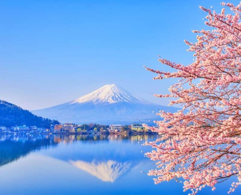 Mt. Fuji Tour: Lake Kawaguchiko Ropeway,Matcha,Oshino Hakkai - Who Should Consider This Tour?