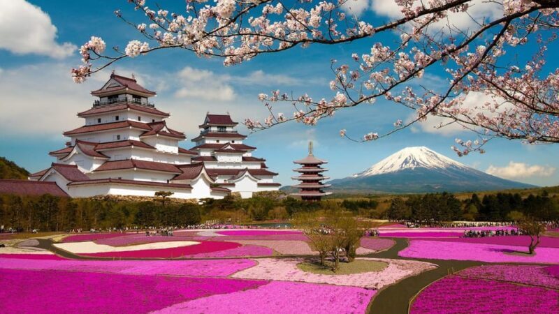 Mt Fuji Tour With Experienced English Driver - The Sum Up: Is This Tour Worth It?