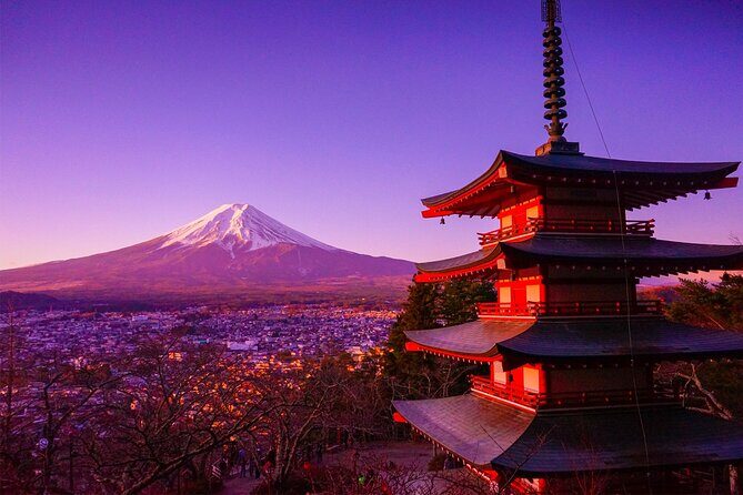 Mt Fuji Tour with Japanese Local Guide on Private Car from Tokyo - Final Thoughts