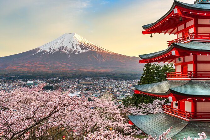 Mt Fuji Tour with Private English Speaking Driver from Tokyo - A Closer Look at the Itinerary: What You Can Expect