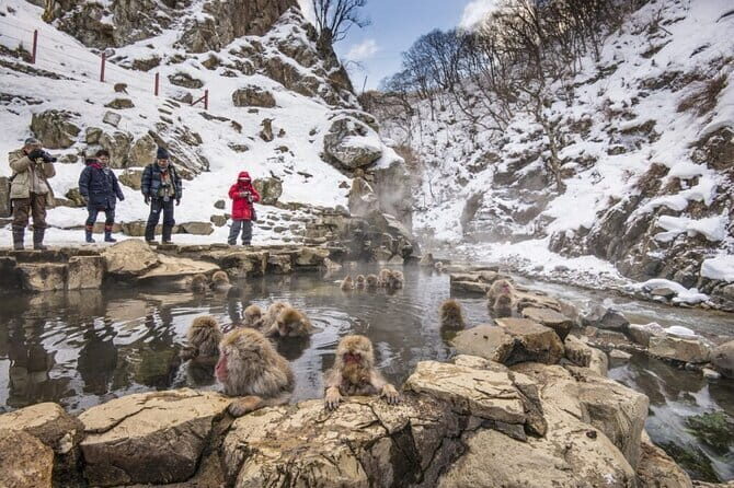 Mt. Fuji Tours to Lake Kawaguchi and Yamanaka Onsen English Guide - Reviews and Authentic Insights