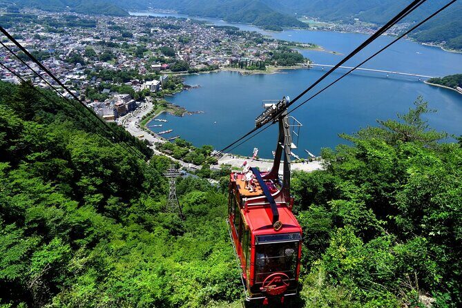 Mt. Fuji Tours with Kawaguchi Lake Ropeway View English Speaking - Practical Aspects and Considerations