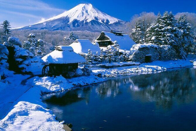 Mt. Fuji Tours with Kawaguchi Lake Ropeway View English Speaking - The Guide and Overall Value