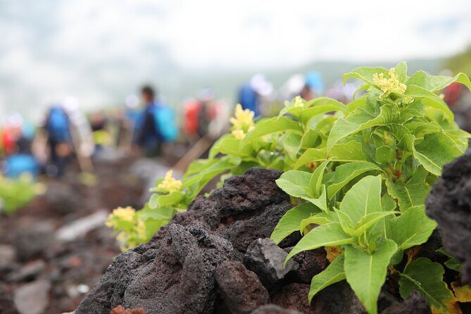 Mt.Fuji Trekking 1 Day Tour up to the summit - Why We Love This Tour