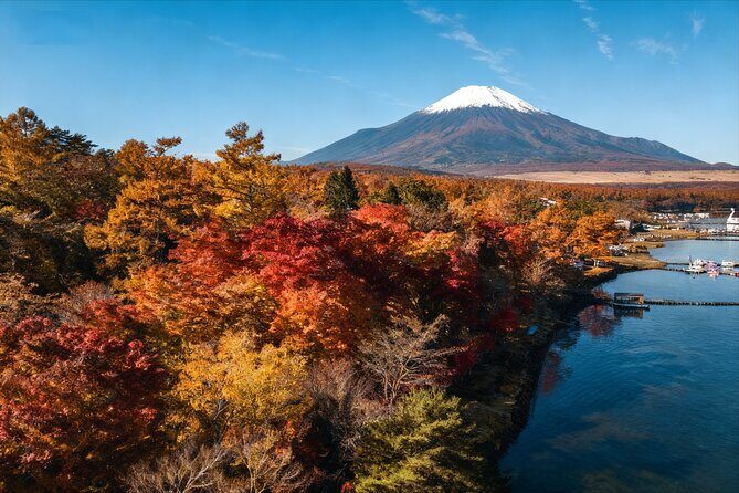 Mt Fuji Twin Lakes Maple Festival Night Lights Tour - An In-Depth Look at the Mt. Fuji Twin Lakes Maple Festival Night Lights Tour