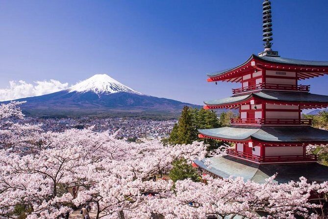 Mt. Fuji View and 2hours+ free time at Gotemba Premium Outlets - Discovering the tour of Mt. Fuji and Gotemba Outlets: a practical guide for travelers