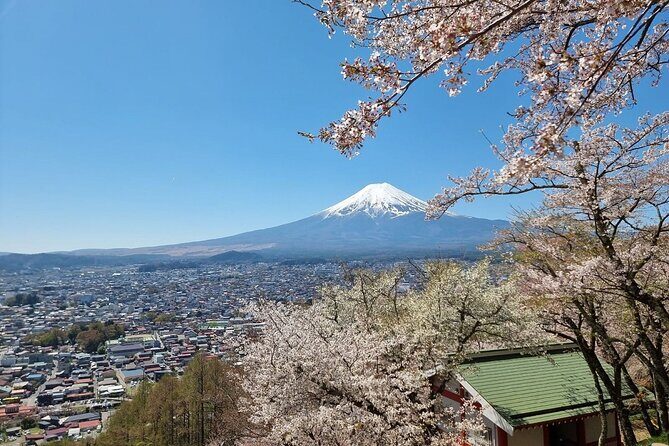 Mt. Fuji View and 2hours+ free time at Gotemba Premium Outlets - Who is this tour best for?