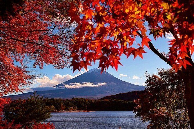 Mt. Fuji View and 2hours+ free time at Gotemba Premium Outlets - Frequently Asked Questions