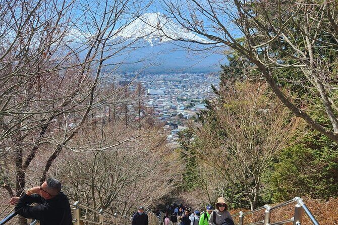 Mt.Fuji view Hakone Private tour with English speaking driver - Mishima Skywalk: The Longest Suspension Bridge in Japan