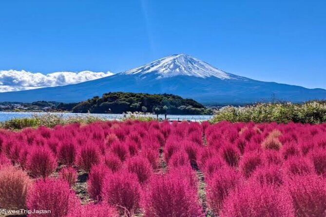 MT FUJI with Private Tour - Lake Yamanaka and Yamanakako Hananomiyako Park