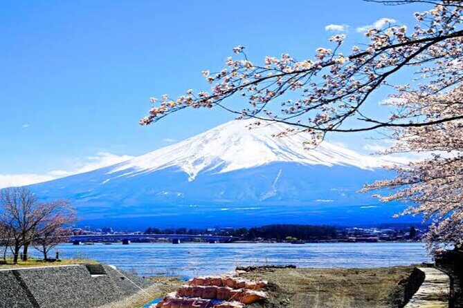 MT FUJI with Private Tour - Optional Stops: Oishi Park and Gotemba Premium Outlets