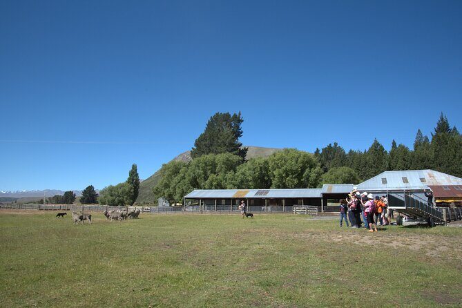 Mt. Hay Farm Experience Genuine Country Farming(Carbon Positive) - Who Should Consider This Tour?