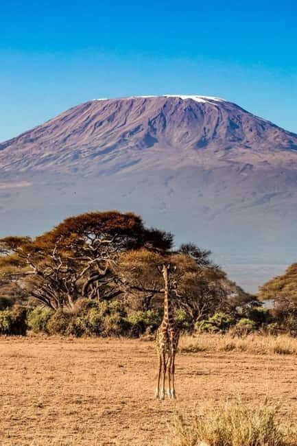 Mt. Kenya to Maasai Mara: An 8-Day Safari Adventure - Starting Point: Amboseli National Park – The Elephant Paradise