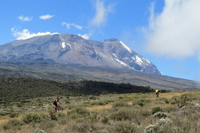 Mt Kilimanjaro Climb - 8 days Lemosho - Who Is This Tour Best For?