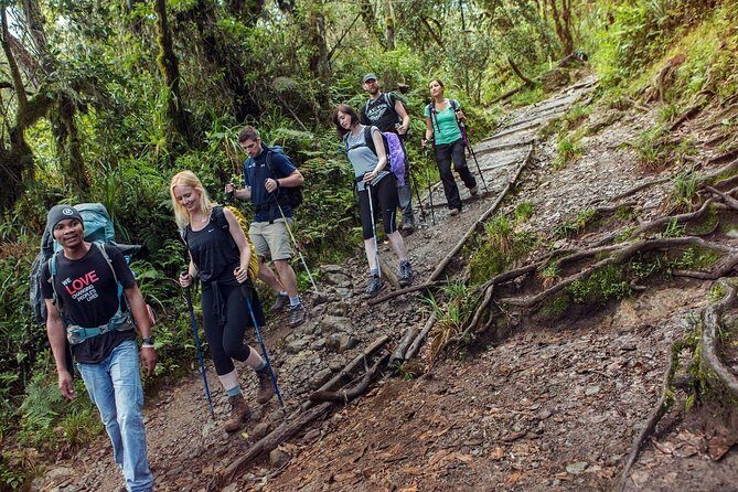 Mt Kilimanjaro Climbing; 7 Days Lemosho Route - An In-Depth Look at the 7-Day Lemosho Route