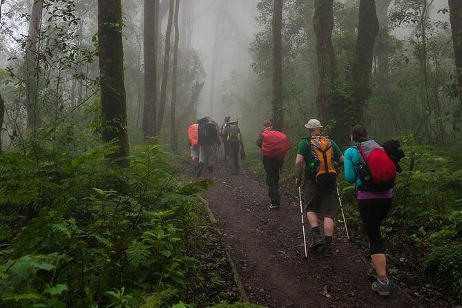 Mt Kilimanjaro Day Hike - Mandara Hut: A Scenic Rest Stop