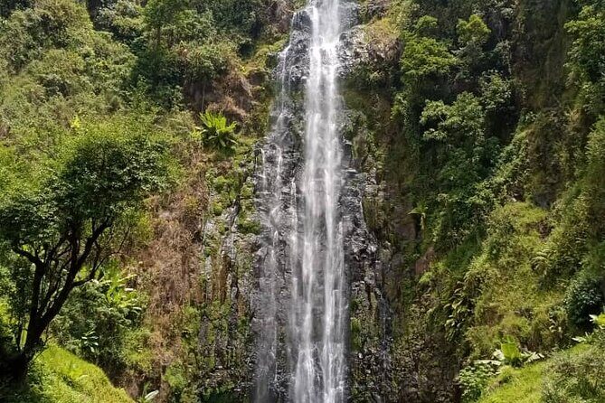 Mt. Kilimanjaro Day hike Materuni waterfall - An In-Depth Look at the Materuni Waterfalls Day Trip