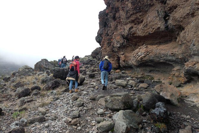 Mt. Kilimanjaro Day Hiking - Key Points
