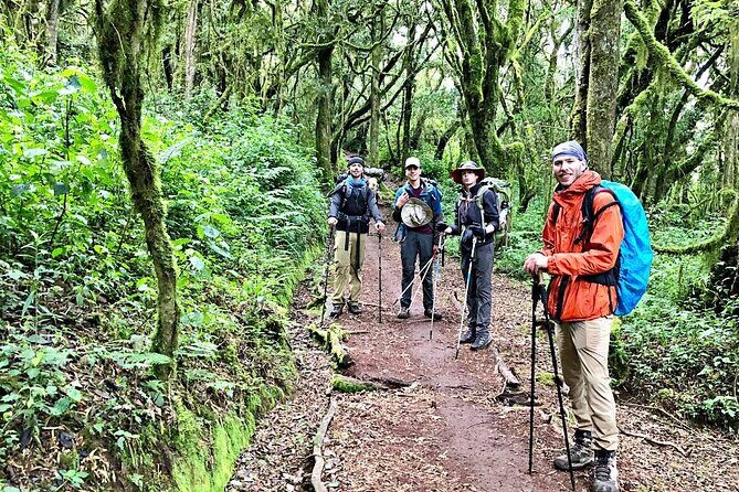 Mt Kilimanjaro Hiking via Marangu Route Day Trip - Exploring the Mt. Kilimanjaro Hiking via Marangu Route Day Trip: A Detailed Review