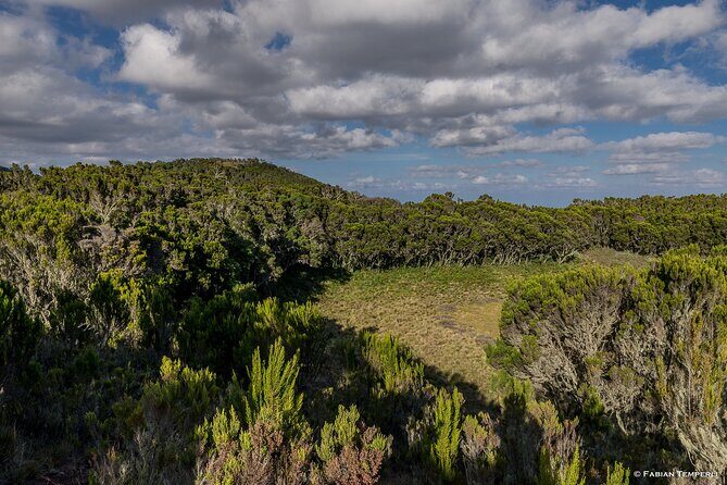 Mt Kilimanjaro Hiking via Marangu Route Day Trip - Key Points