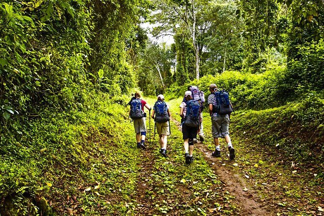 Mt Kilimanjaro Hiking via Marangu Route Day Trip - The Sum Up: Is This Tour Right for You?