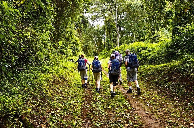Mt Kilimanjaro Hiking via Marangu Route Day Trip - FAQs