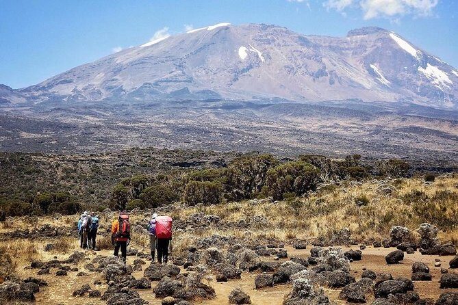 Mt.kilimanjaro Lemosho Route - The Value of This Experience
