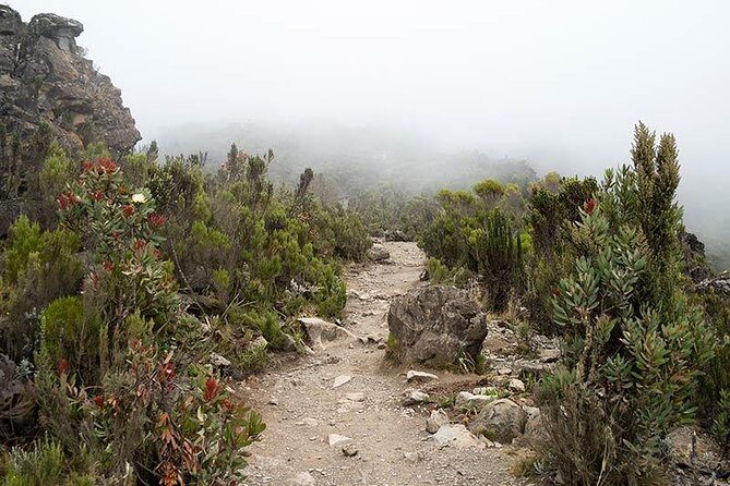 Mt.kilimanjaro-machame Route - Detailed Review of the Machame Route Trek