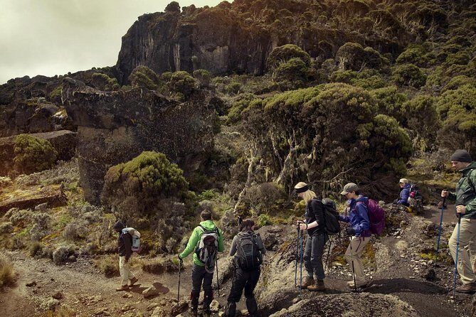 Mt.kilimanjaro-machame Route - Who Should Consider This Tour?