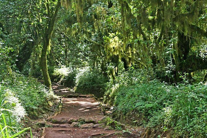Mt.kilimanjaro-marangu Route - Overview of the Kilimanjaro Marangu Route Tour