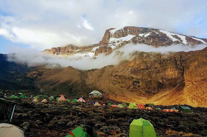 Mt Kilimanjaro Trek, 6 Days - Umbwe Route - Insights from Past Travelers