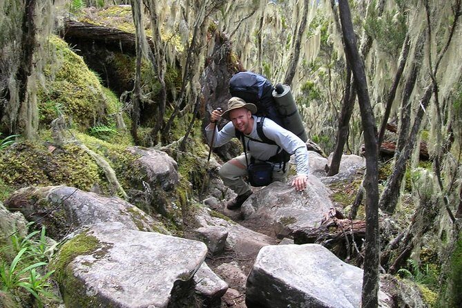Mt Kilimanjaro Trek, 6 Days - Umbwe Route - Practical Tips for Your Climb