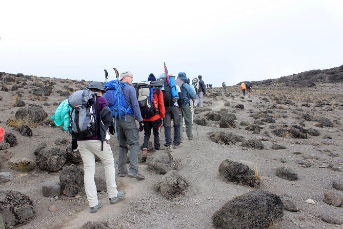 Mt Kilimanjaro Trek, 6 Days - Umbwe Route - Who Should Consider This Tour?