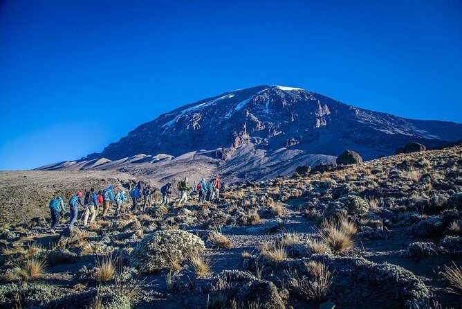 Mt Kilimanjaro Trek; Rongai Route - 6 Days - Day 1: From Moshi to Simba Camp