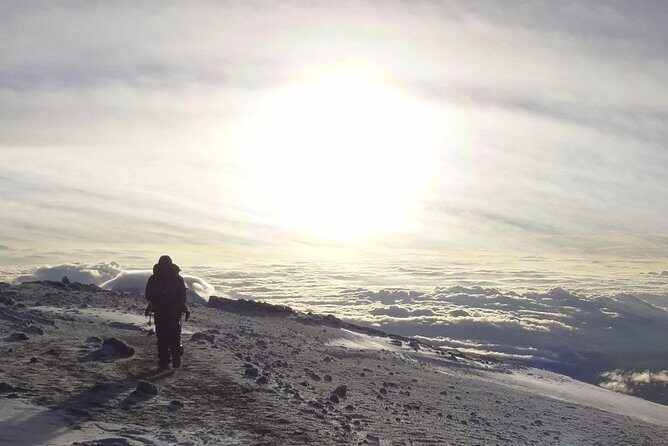 Mt Kilimanjaro Trek; Rongai Route - 6 Days - Day 6: Descent to Marangu